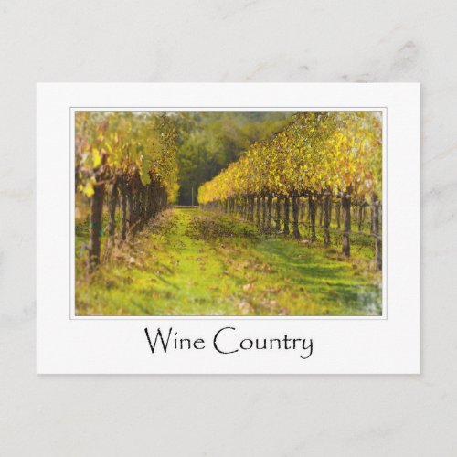 Wine Country  _ Vineyard in Autumn Postcard