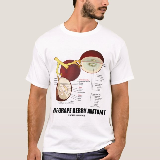 Wine Grape Berry Anatomy (Fruit) T-Shirt (Front)