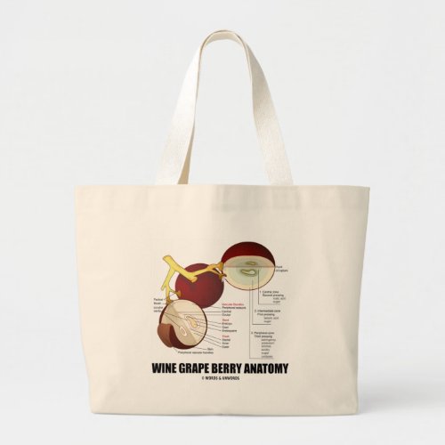 Wine Grape Berry Anatomy Scientific Diagram Large Tote Bag