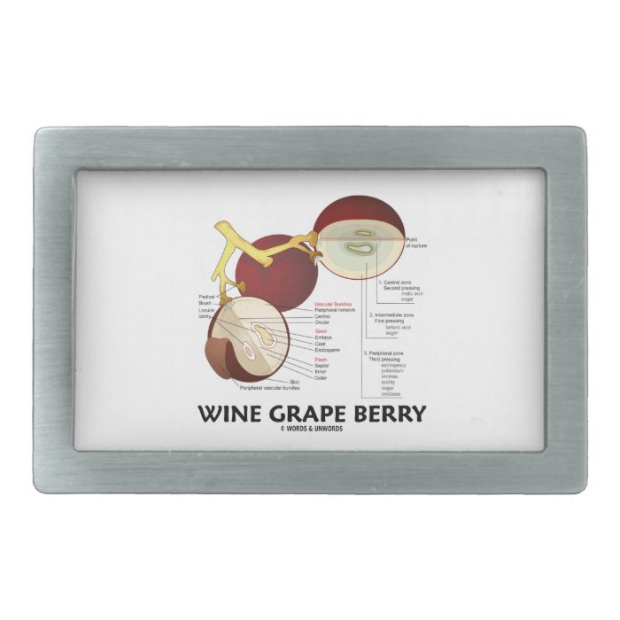 Wine Grape Berry (Botanical Anatomy) Belt Buckle