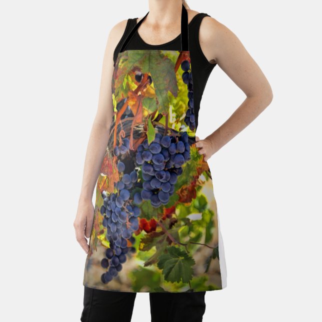 Wine Grape Vineyard with Fall Colors Apron (Insitu)
