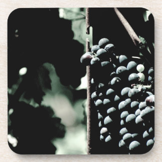 Wine Grapes Beverage Coaster
