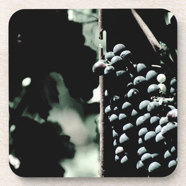 Wine Grapes Beverage Coaster (Front)