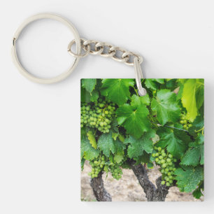 Wine Grapes Growing, France Keychain