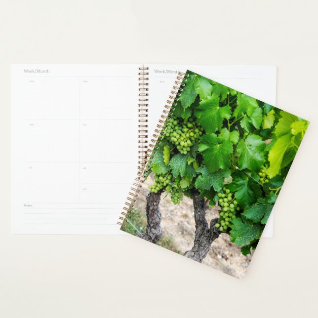 Wine Grapes Growing, France Planner (Display)