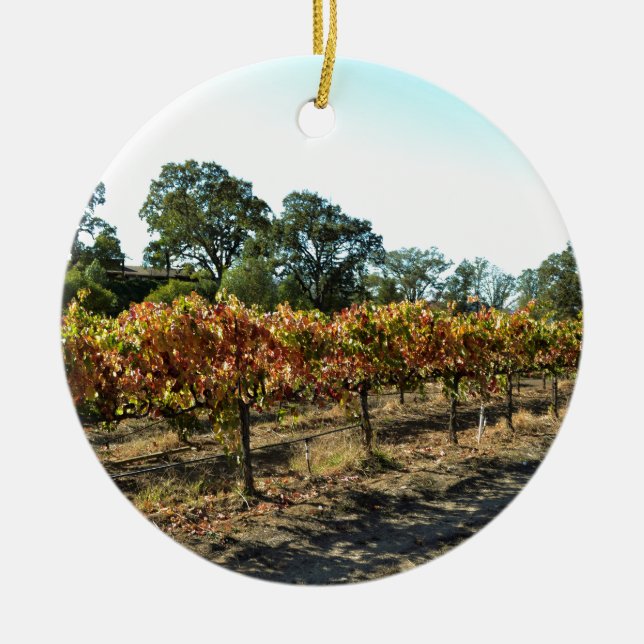 Wine Grapes in Mendocino County, California Ceramic Ornament (Front)