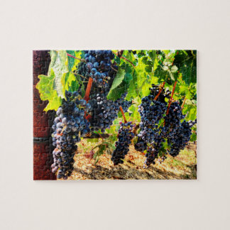 Wine Grapes Jigsaw Puzzle