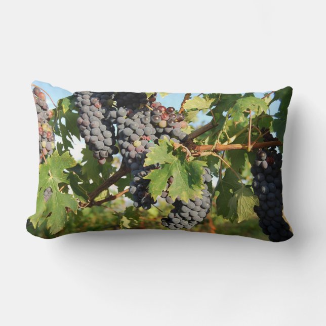Wine Grapes On Vine Lumbar Pillow (Front)