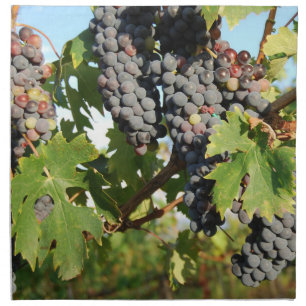 Wine Grapes On Vine Napkin