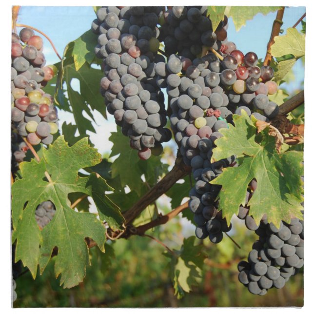 Wine Grapes On Vine Napkin (Front)