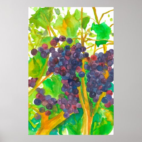 Wine Grapes Watercolor Painting Poster