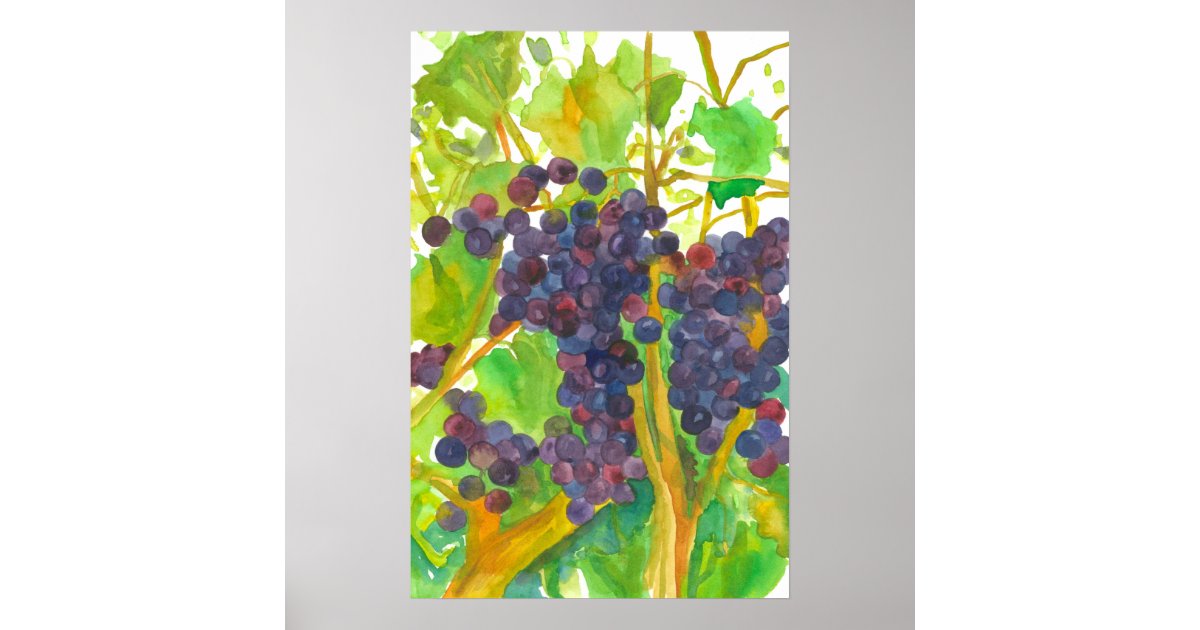 Wine Grapes Watercolor Painting Poster Zazzle Com