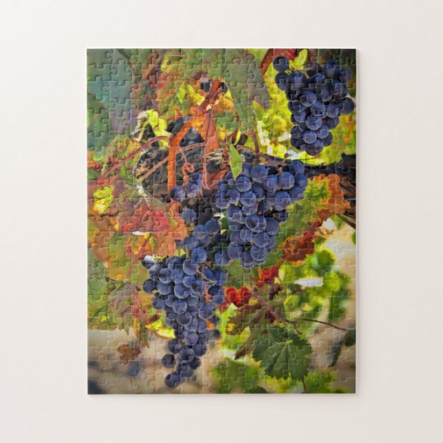 Wine Harvest Grape Fall  Colors Jigsaw Puzzle (Vertical)