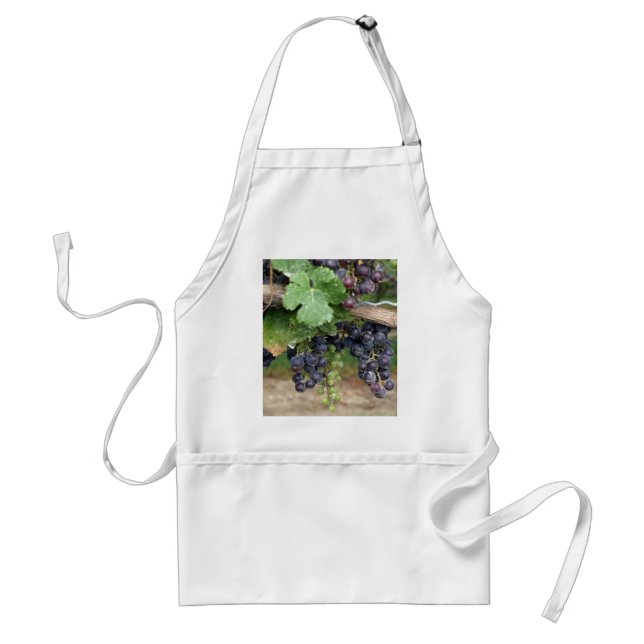 Wine on the Vine Adult Apron (Front)