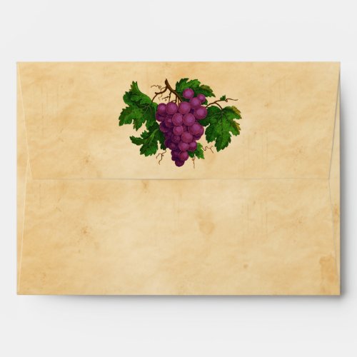 Wine Party Theme Vintage Purple Grapes Parchment Envelope