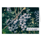 Wine Purple Grapes Harvest Grape on the Vine (Front Horizontal)