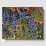 Wine Themed Guest Book