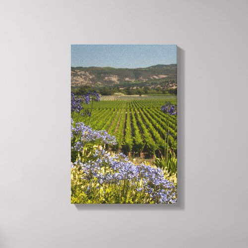 Wine Vineyard and Purple Flowers Canvas Print