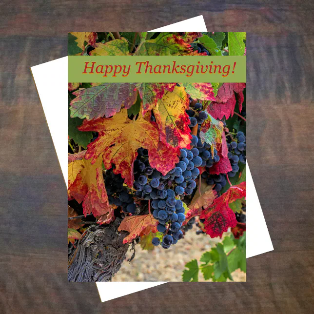 Wine Vineyard Happy Thanksgiving Card | Zazzle