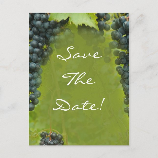 Wine Vineyard Theme Wedding Save The Date Announcement Postcard (Front)