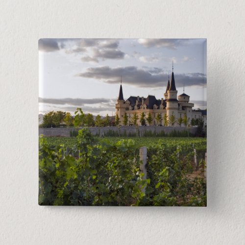 Winery building seen from the vineyard at button