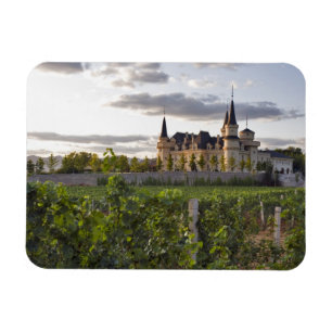 Winery building seen from the vineyard at magnet
