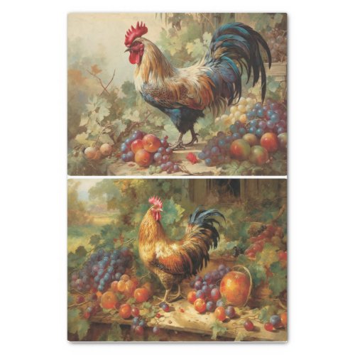 Winery Chickens  Tissue Paper
