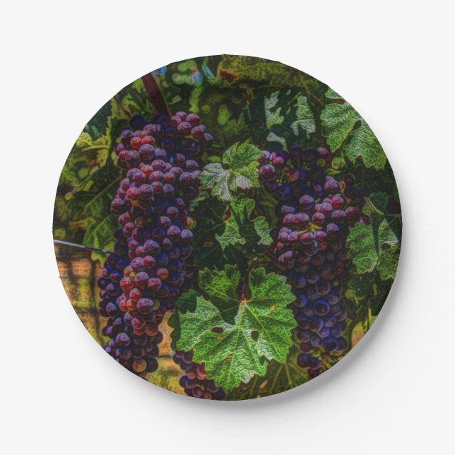 Winery Grapevine sunny tuscany vineyard grapes Paper Plates (Front)