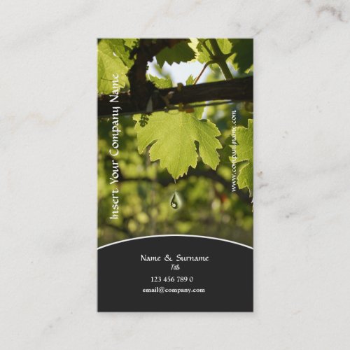 Winery vineyard grape business profile business card