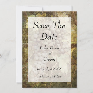 Winery Vineyard Save the Date Card