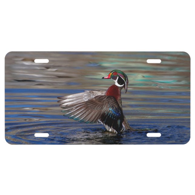 Wing Flapping Wood Duck License Plate (Front)