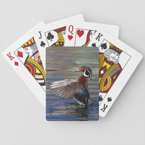 Wing Flapping Wood Duck Poker Cards