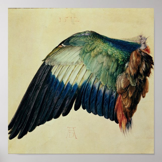 Wing of a Blue Roller, 1512 Poster (Front)