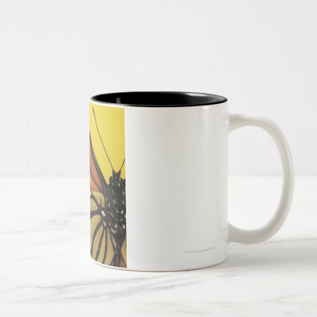 Wing of a butterfly Two-Tone coffee mug (Right)
