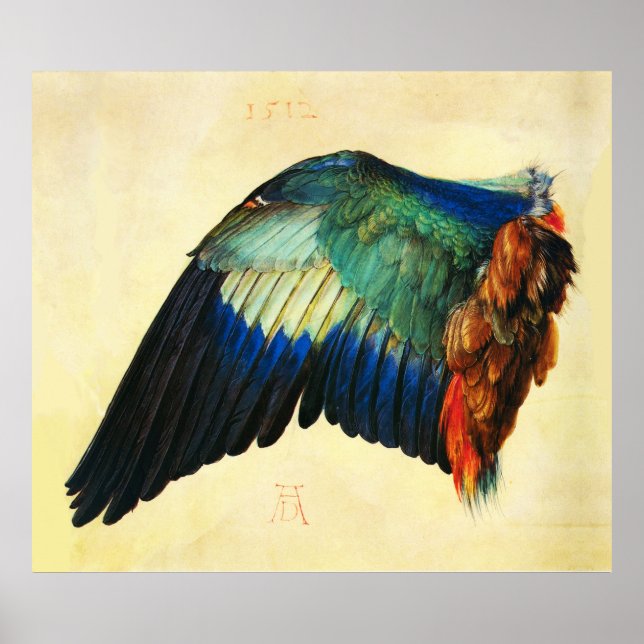 WING OF AN EUROPEAN ROLLER Durer Poster (Front)