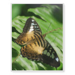 Winged Butterfly Temporary Tattoos