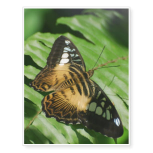 Winged Butterfly Temporary Tattoos
