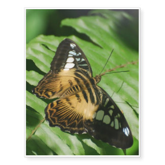 Winged Butterfly Temporary Tattoos
