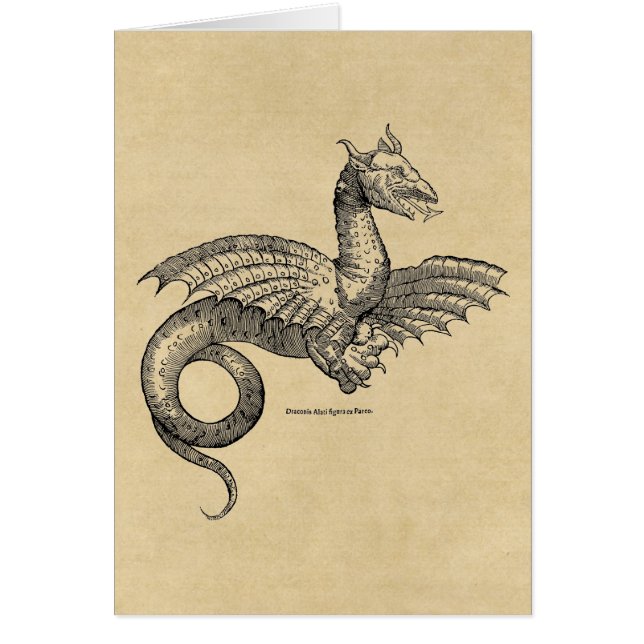 Winged Dragon Cards (Front)