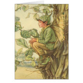 Winged Elm Fairy Sitting in a Tree (Front)