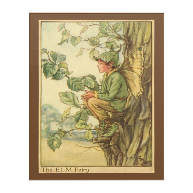 Winged Elm Fairy Sitting in a Tree Acrylic Print (Front)
