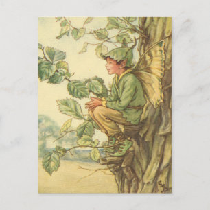 Winged Elm Fairy Sitting in a Tree Postcard
