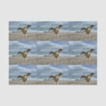 winged-lion-10 tissue paper
