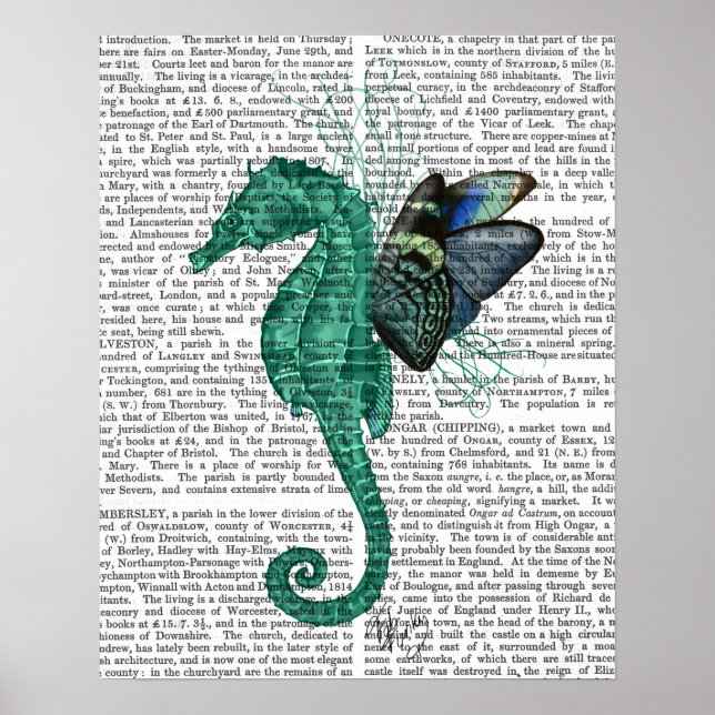 Winged Seahorse Poster (Front)