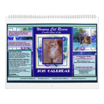 Winging Cat Rescue 2016 Premium Calendar by WingingCatRescueINC at Zazzle