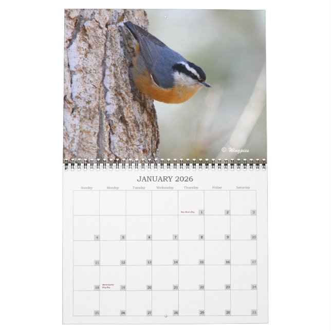 Wingpics 2012 Song Birds Calendar (Jan 2026)