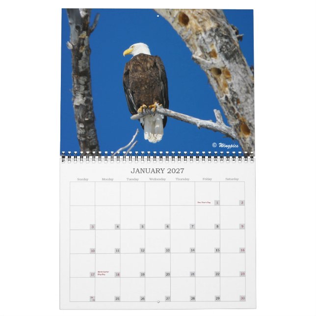 Wingpics Eagle Calendar 2012 (Jan 2027)