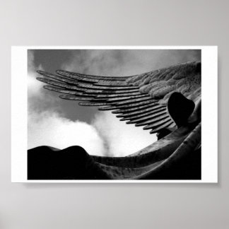 Wings above us poster
