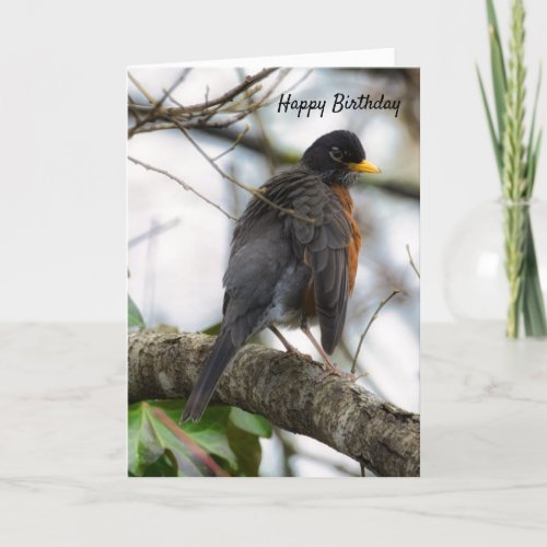 Wings American Robin Birthday Greeting Card