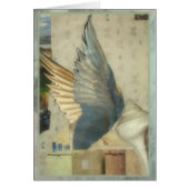 Wings Cards (Front)